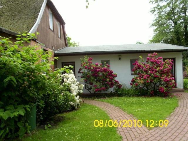 Ferienwohnung "Kleine Deichperle" Prerow Exterior foto