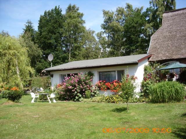Ferienwohnung "Kleine Deichperle" Prerow Exterior foto